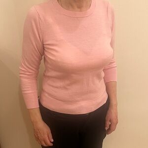 Banana Republic Blush Crew Neck Sweater